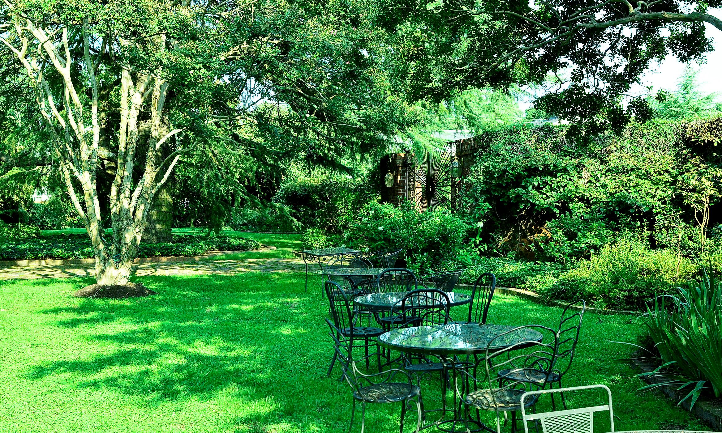 The Leaning Tree - 4