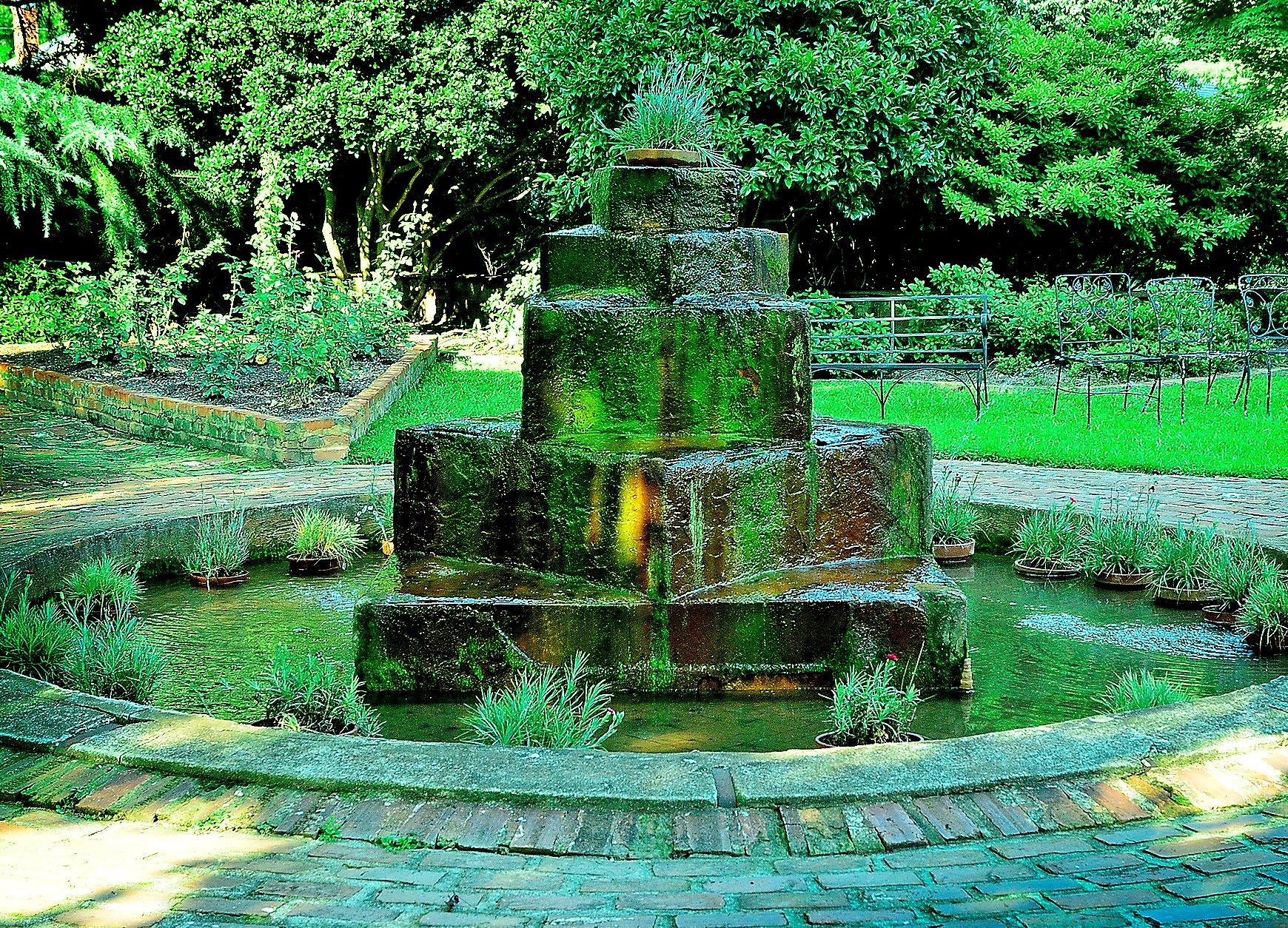 The Leaning Tree - 2