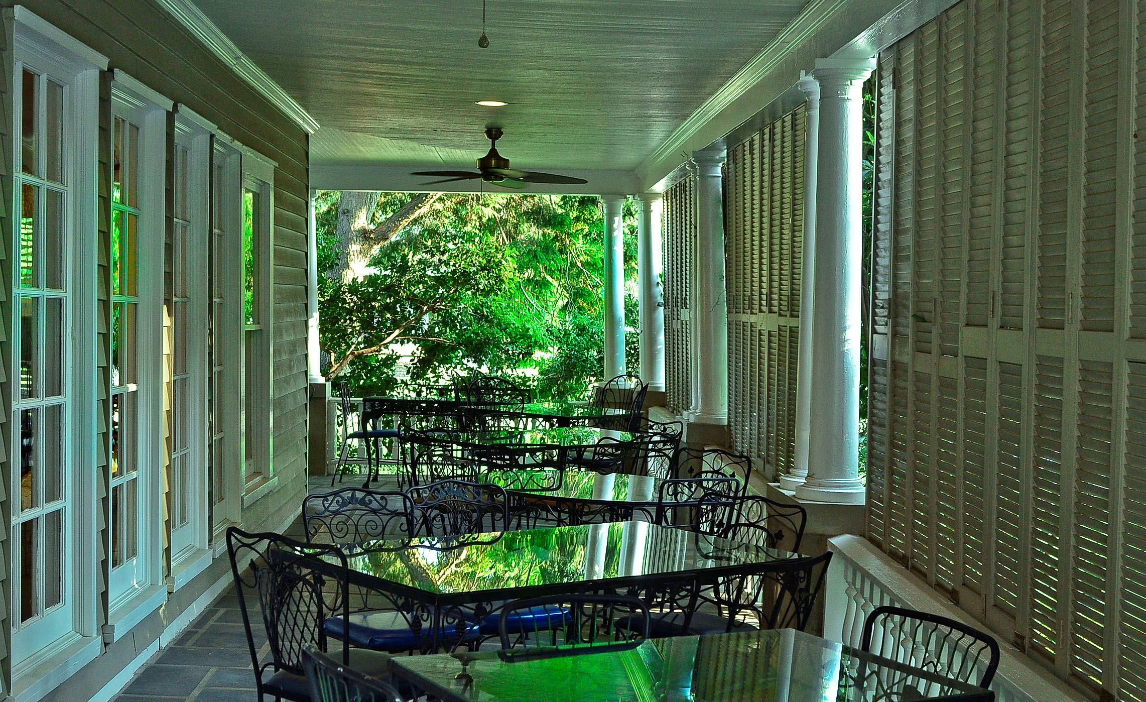 The Leaning Tree - 3