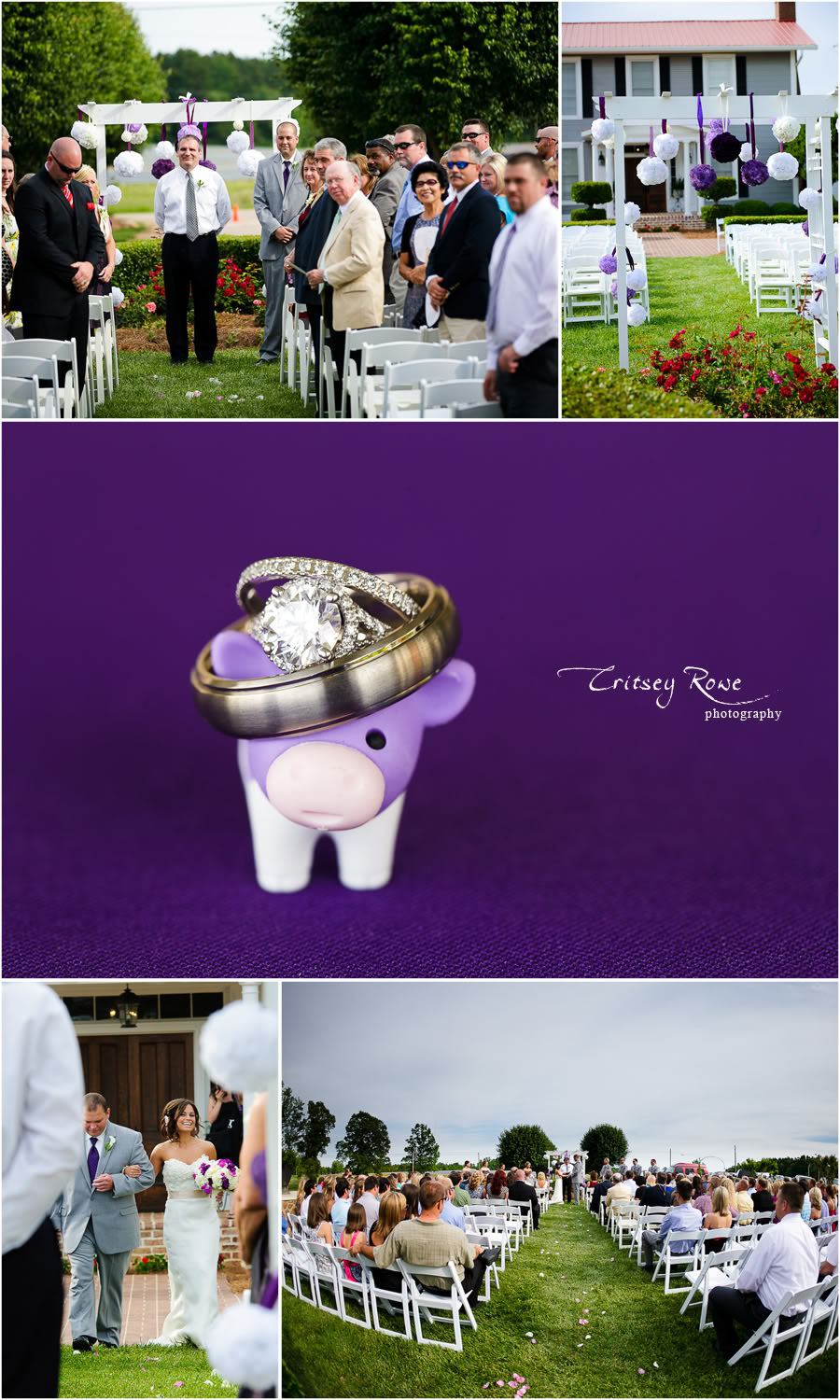 Villa Franca Estate - 4