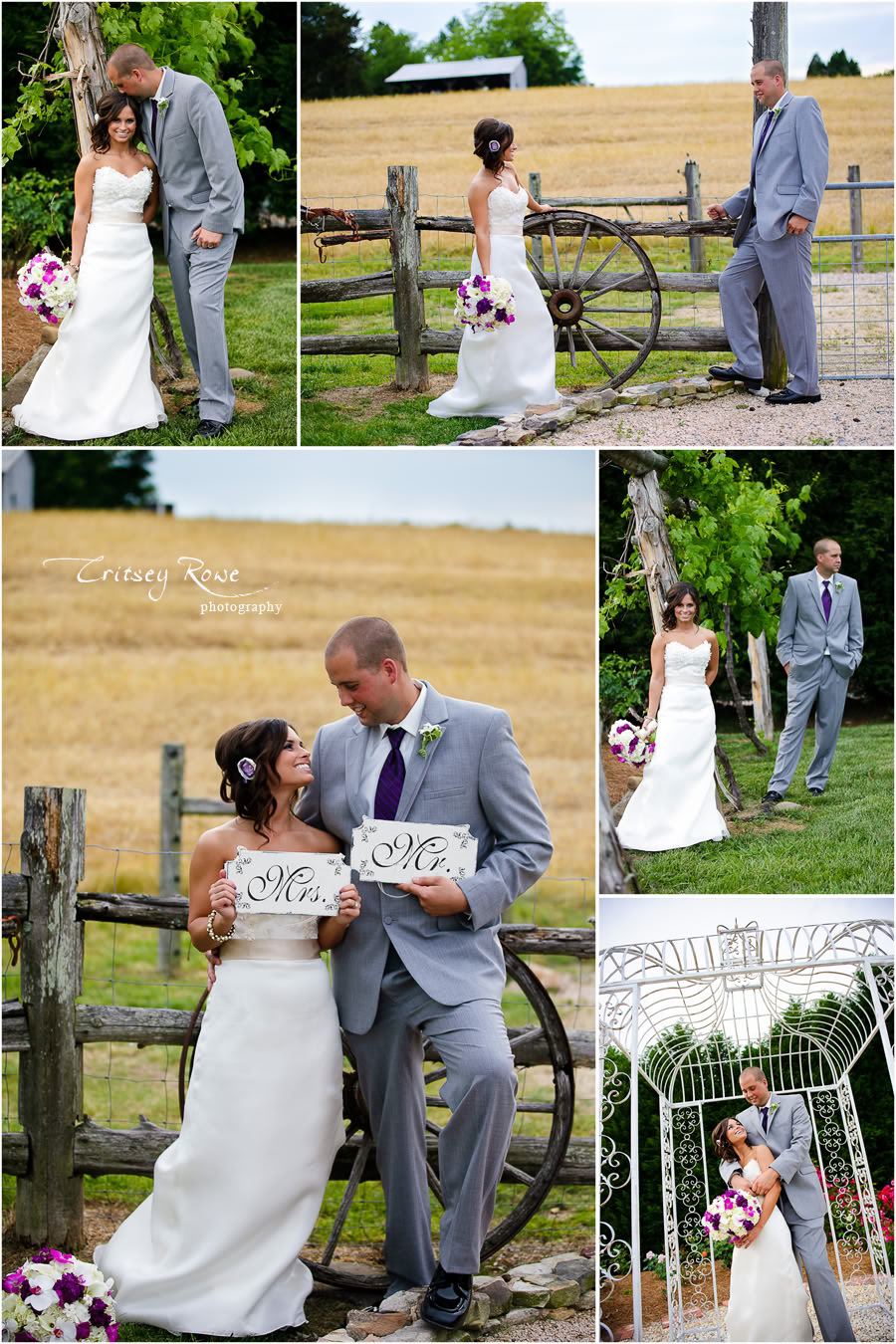 Villa Franca Estate - 2