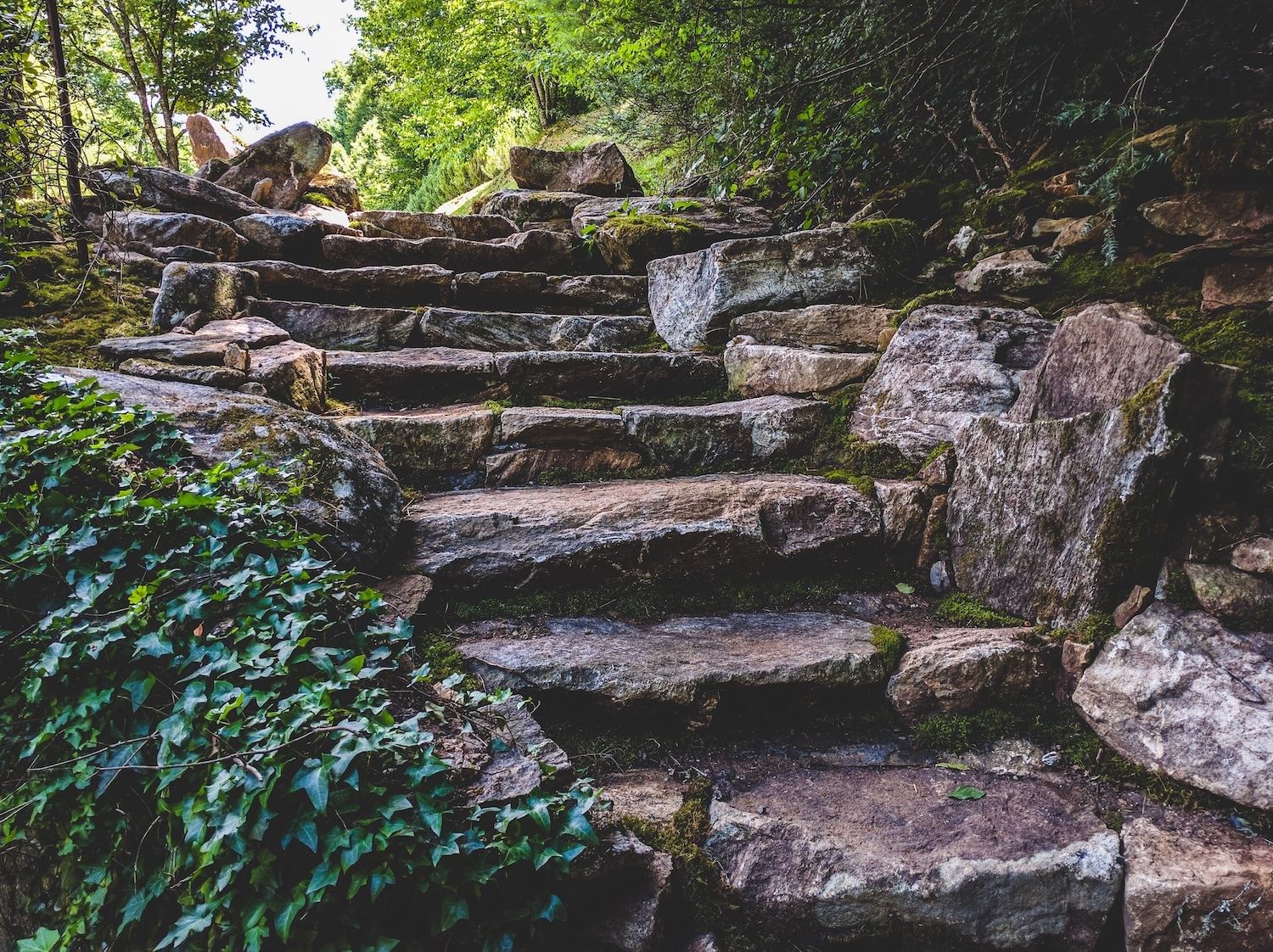 Fines Creek Farm - 3