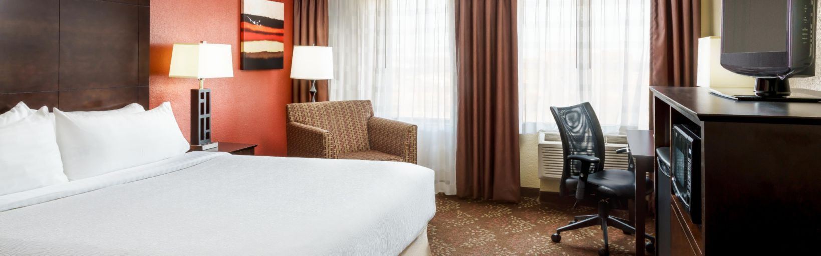 Holiday Inn Charlotte University - 6