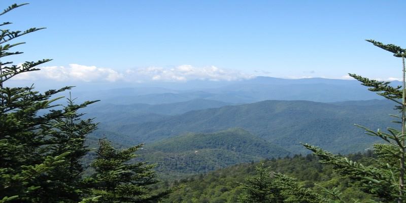 Maggie Valley Club and Resort - 6