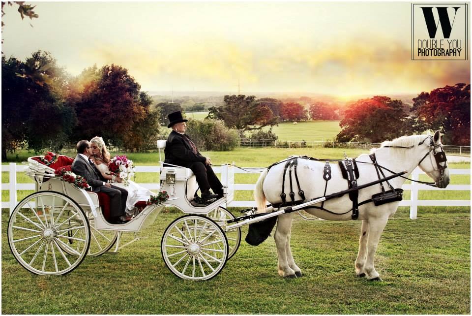 Lonestar Mansion - 7