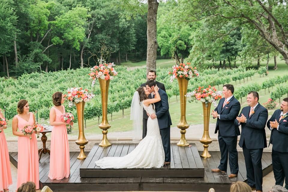 Mitas Hill Vineyard - 3