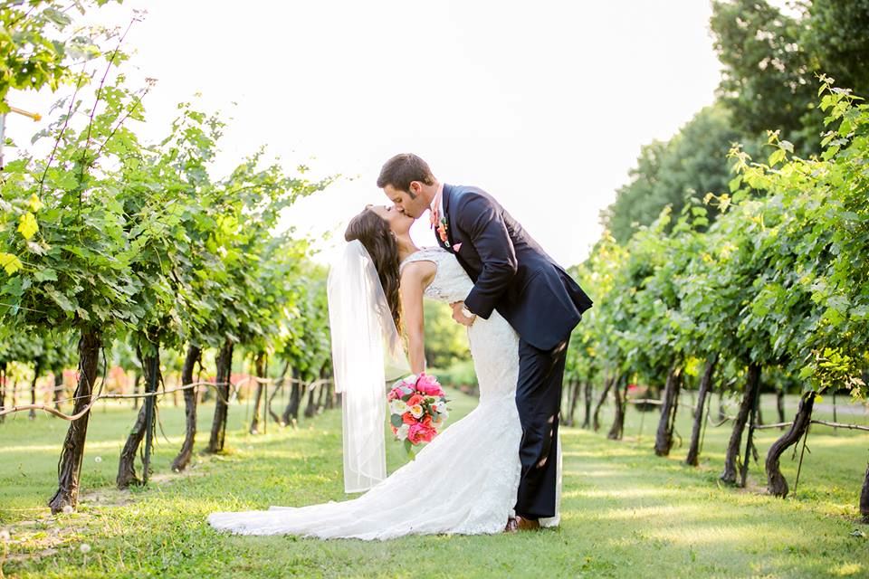 Mitas Hill Vineyard - 1