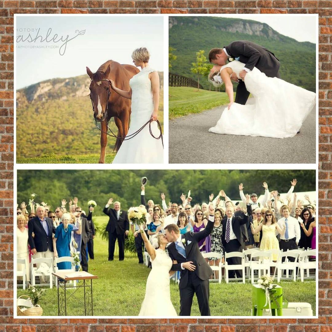 Moore's Spring Manor - 2