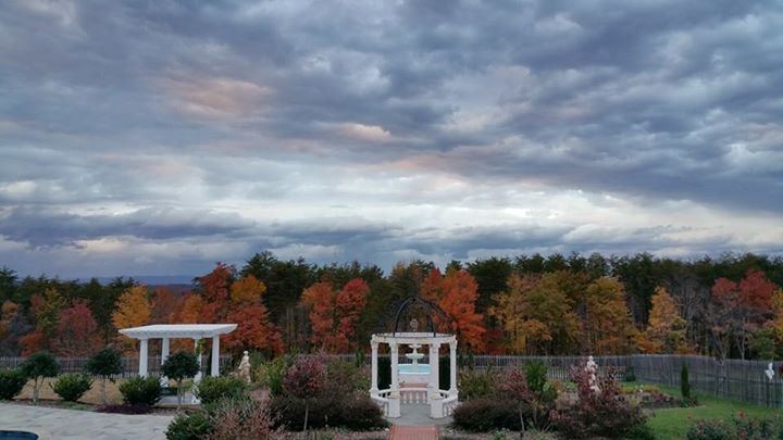 Moore's Spring Manor - 7