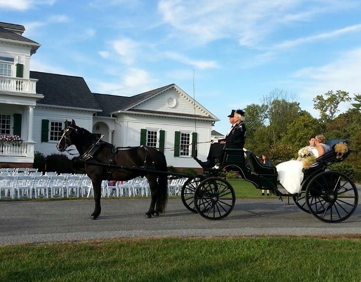 Moore's Spring Manor - 5