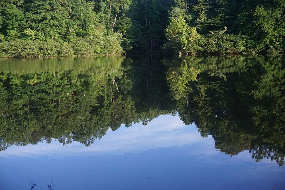 Timberlake Earth Sanctuary - 4