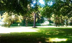 Rolling Hill Park Grove - 4