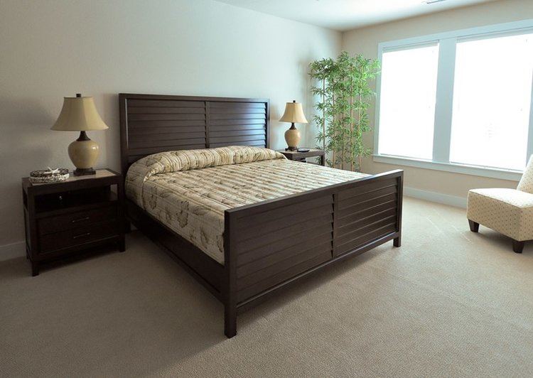 The Black Stallion - 4