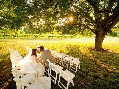 A Place In The Vineyard - 5