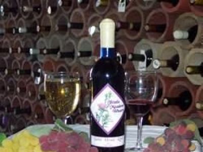 Thistle Meadow Winery - 2