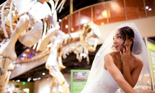 Perot Museum of Nature and Science - 1