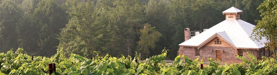 Elkin Creek Vineyard and Winery - 5