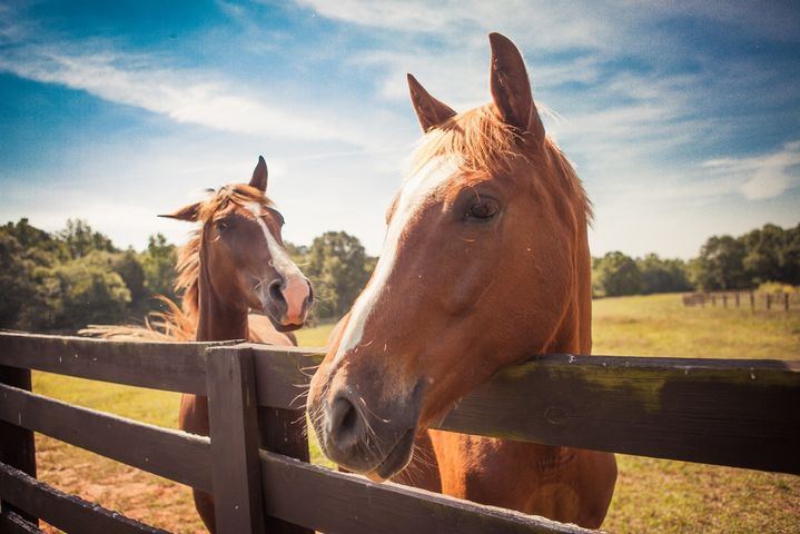 The Retreat at Guidestone Hills - 6