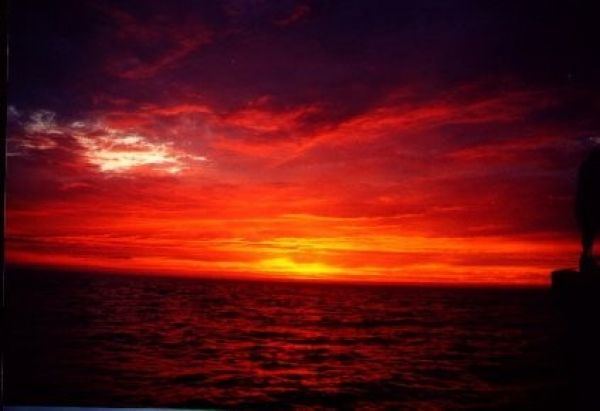 Liberte The Schooner - 6