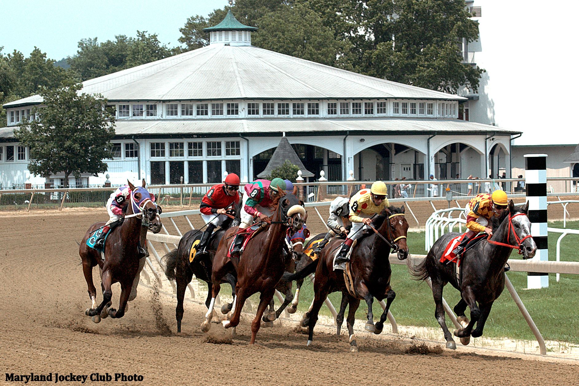Laurel Park - 1