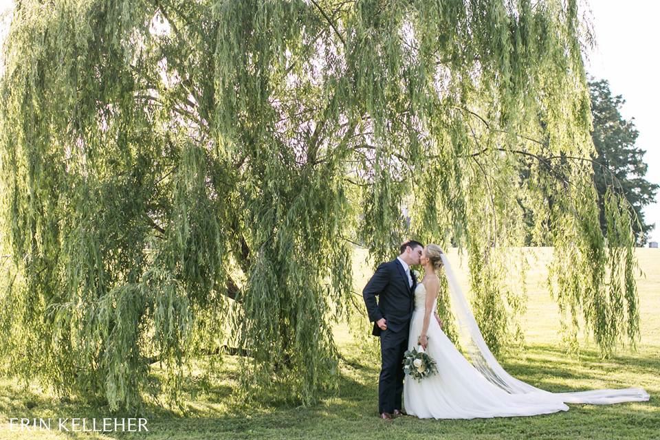 Swan Harbor Farm - 1