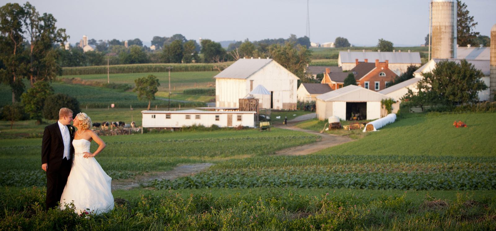 Lancaster County Winery - 2