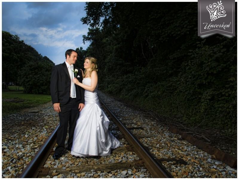 Paradocx Vineyard - 6