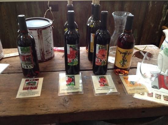 Paradocx Vineyard - 3