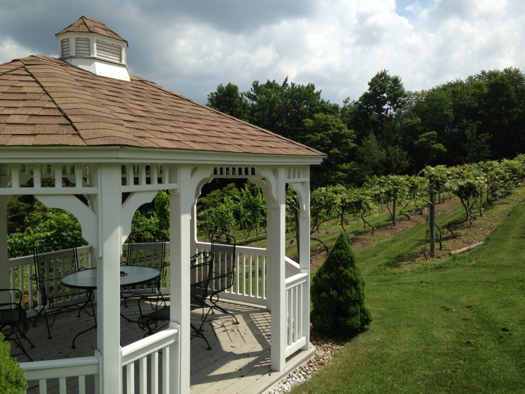 Starr Hill Vineyard and Winery - 3