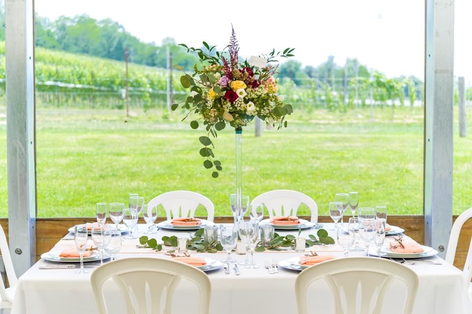 The Vineyard at Grandview - 4