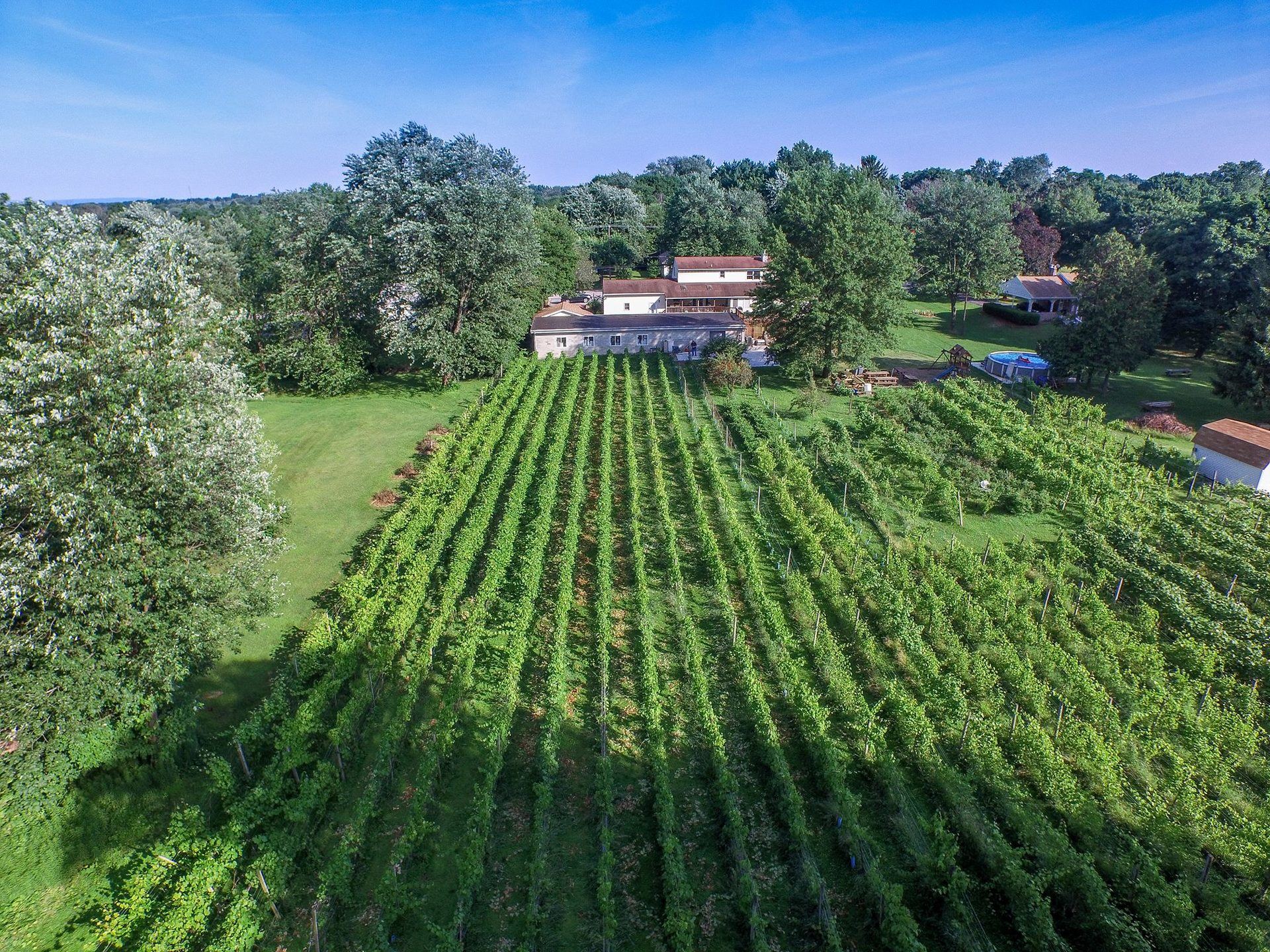 West Hanover Winery - 4