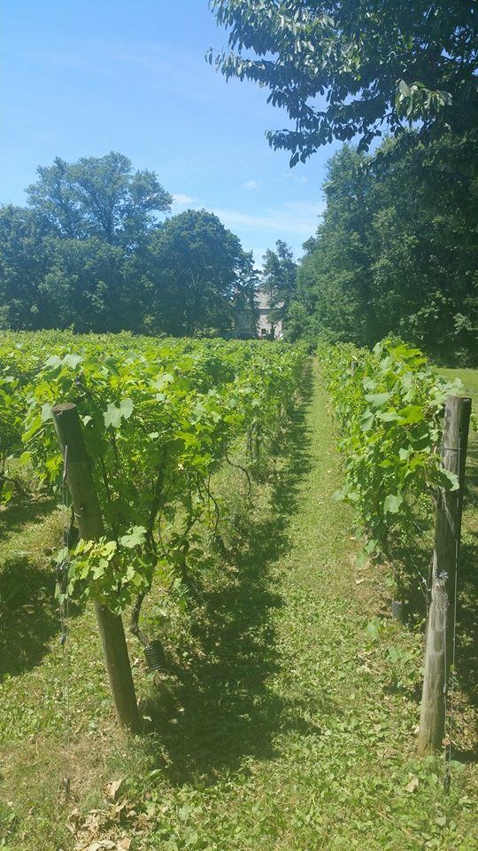 West Hanover Winery - 6