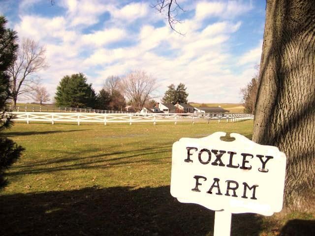 Foxley Farm - 1