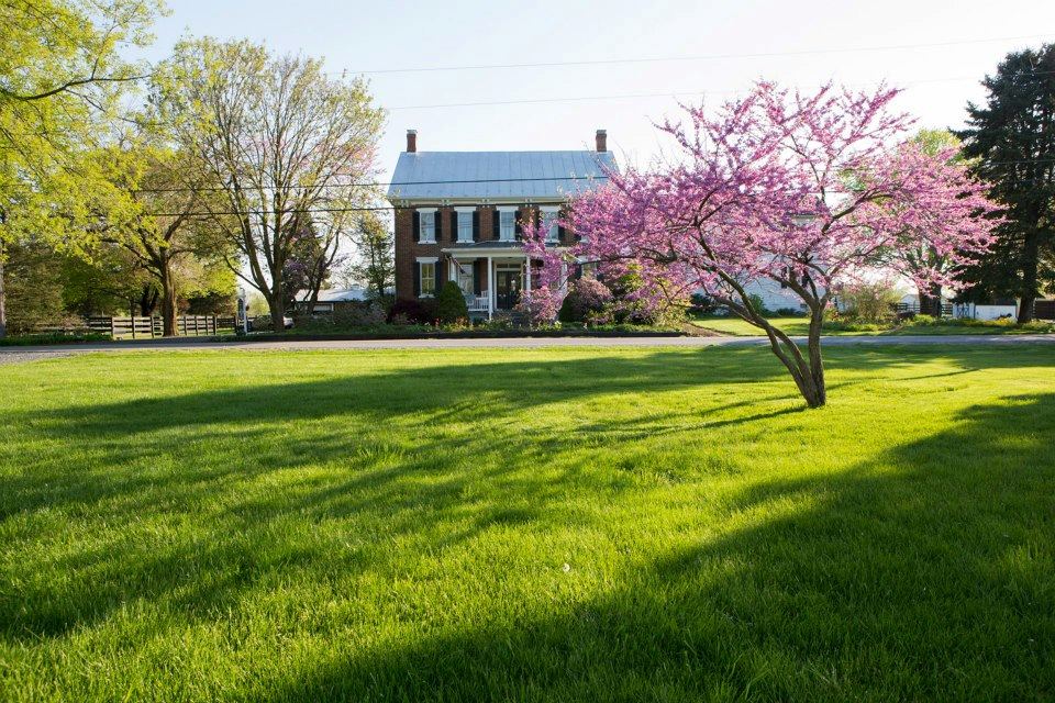 Pheasant Field Bed and Breakfast - 1