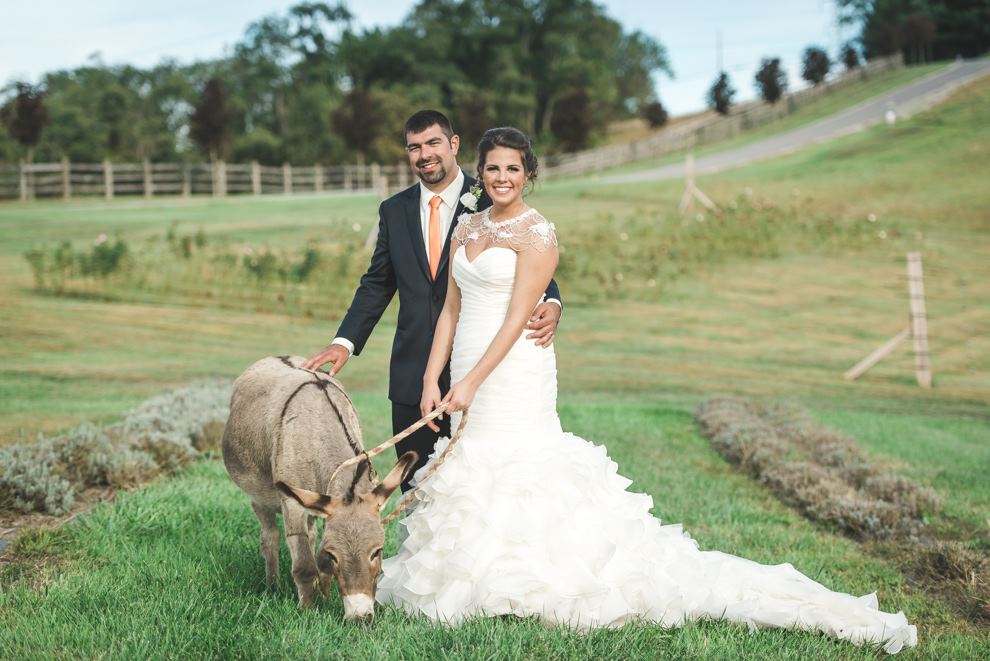 Destiny Hill Farm - 1