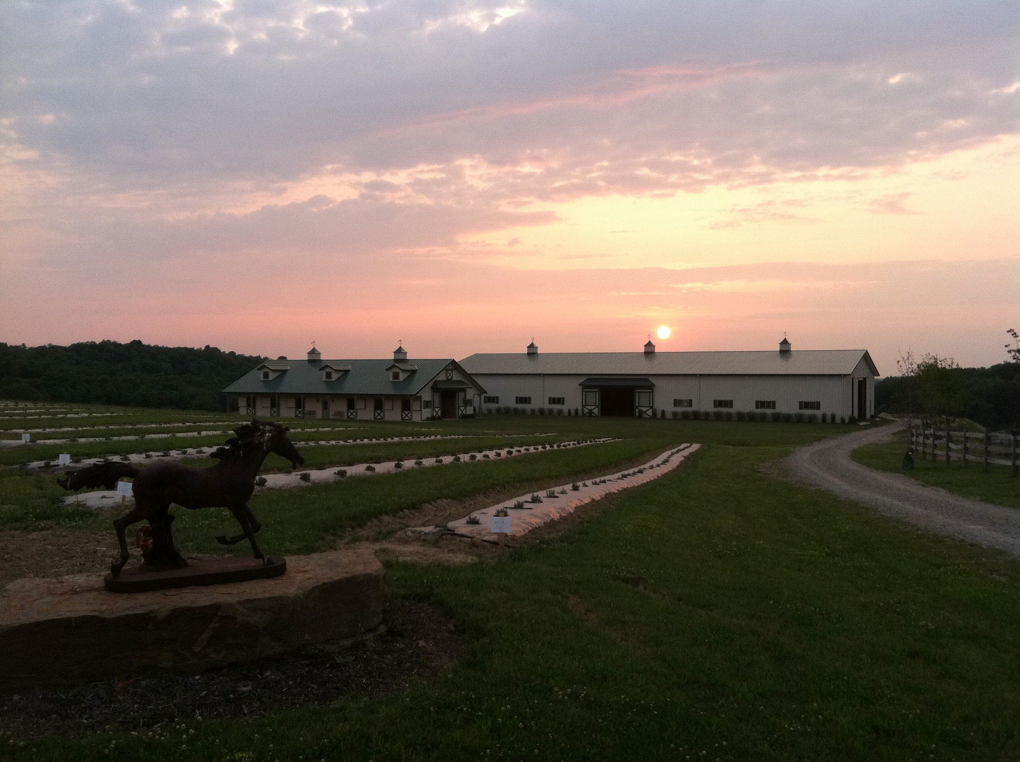 Destiny Hill Farm - 7