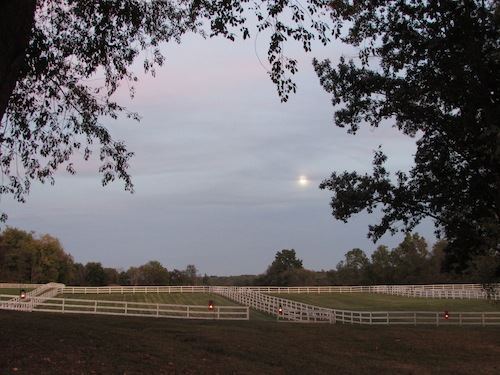 Highland Meadows Farm - 4