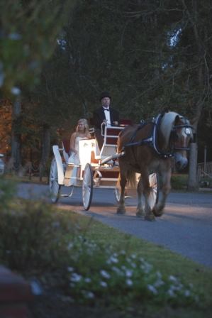 White Oak Plantation - 5