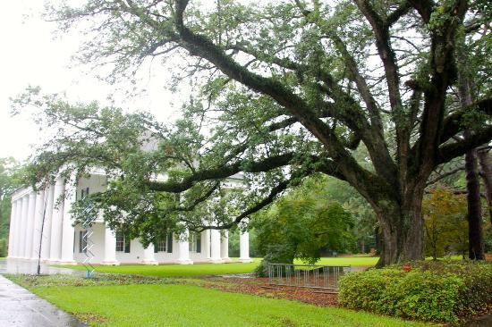 Paul and Lulu Hillard University Art Museum - 7