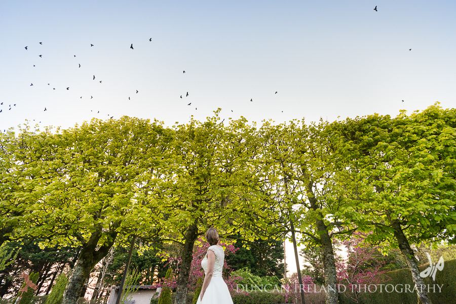 Threave Garden & Estate - 7