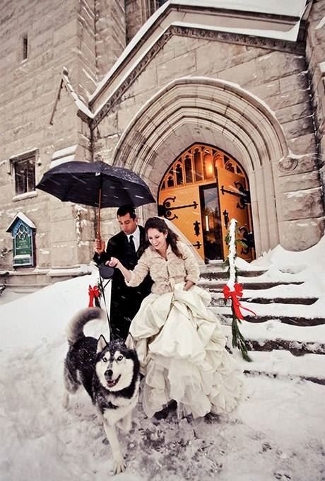 Shieldhill Castle Hotel - 7