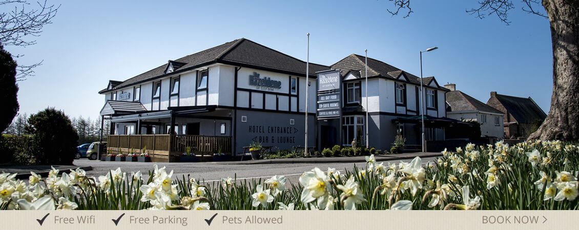 The Hazeldene Hotel - 2