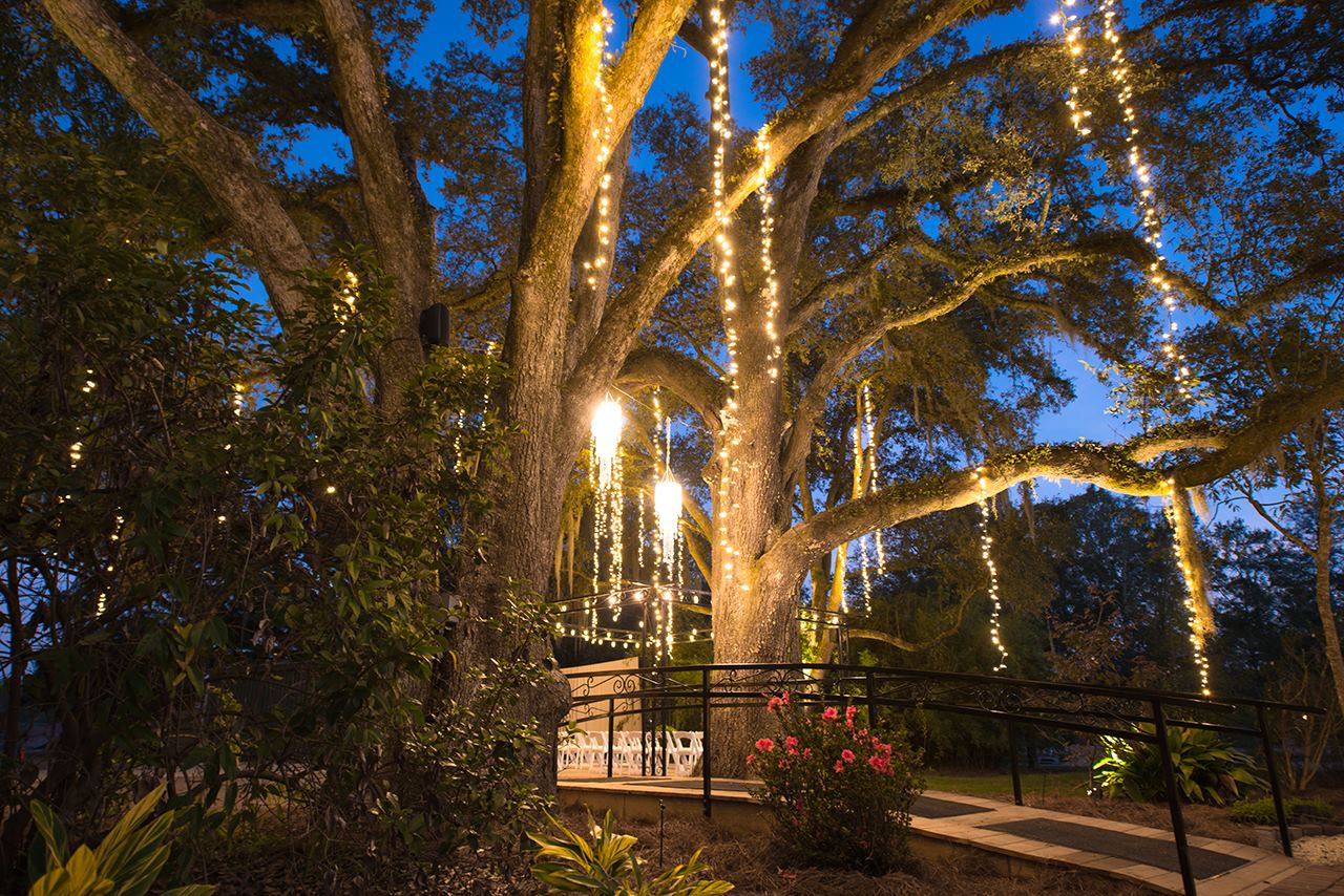 Juliana's Wedding and Event Center - 2