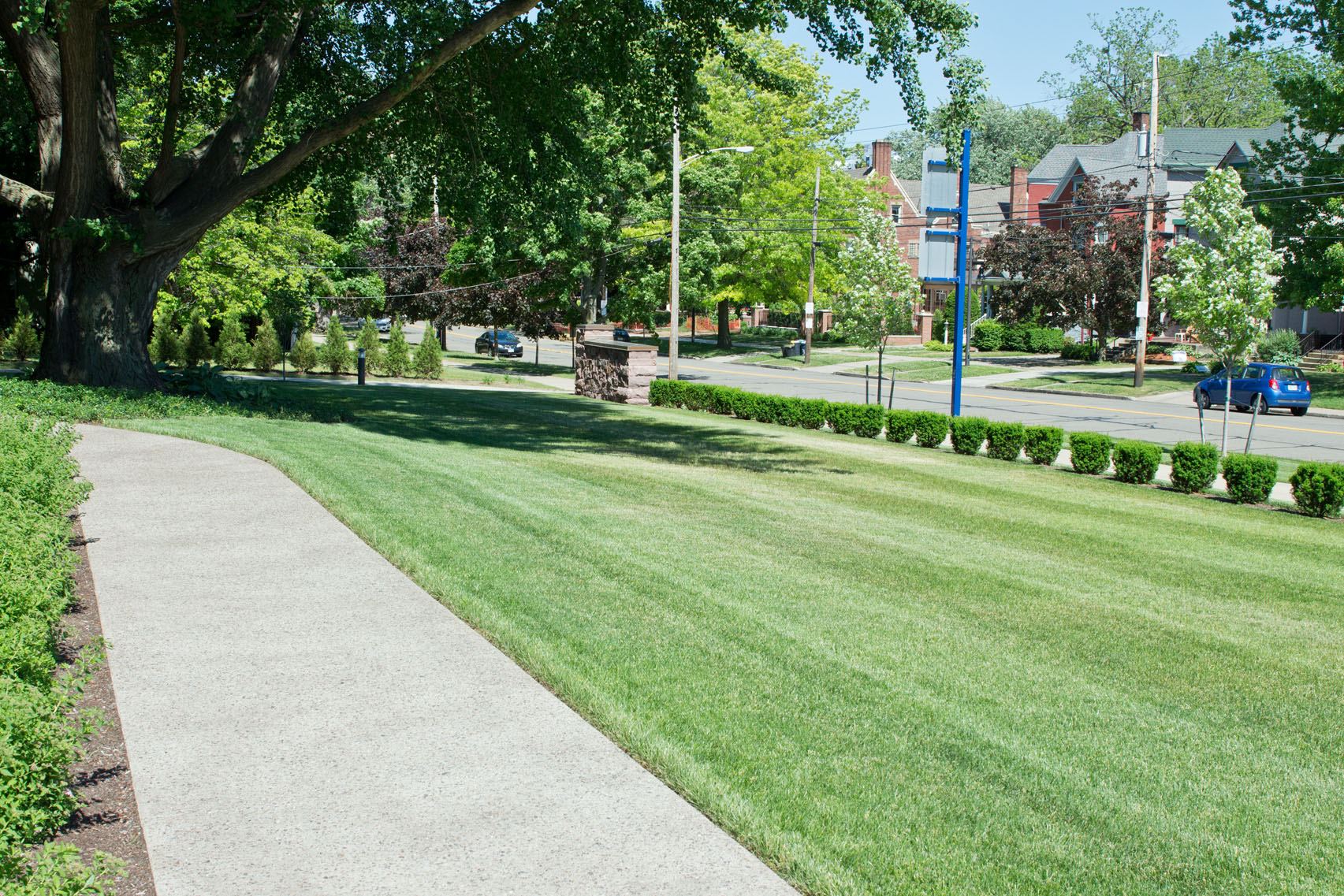 The Watson-Curtze Mansion - 6