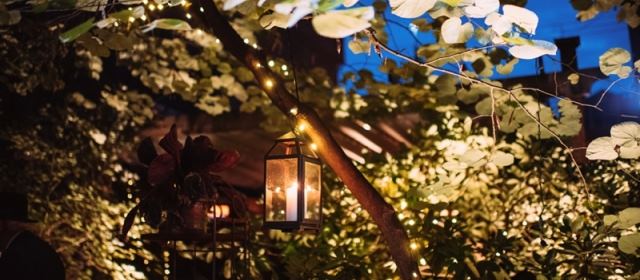 Morning Glory Inn - 4