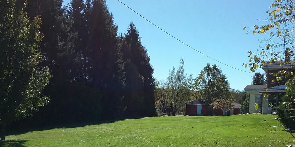 The Forest Lodge and Campground - 3