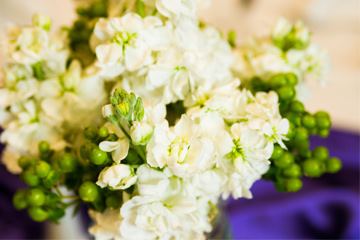 University of Illinois of Conferences and Special Events - 5