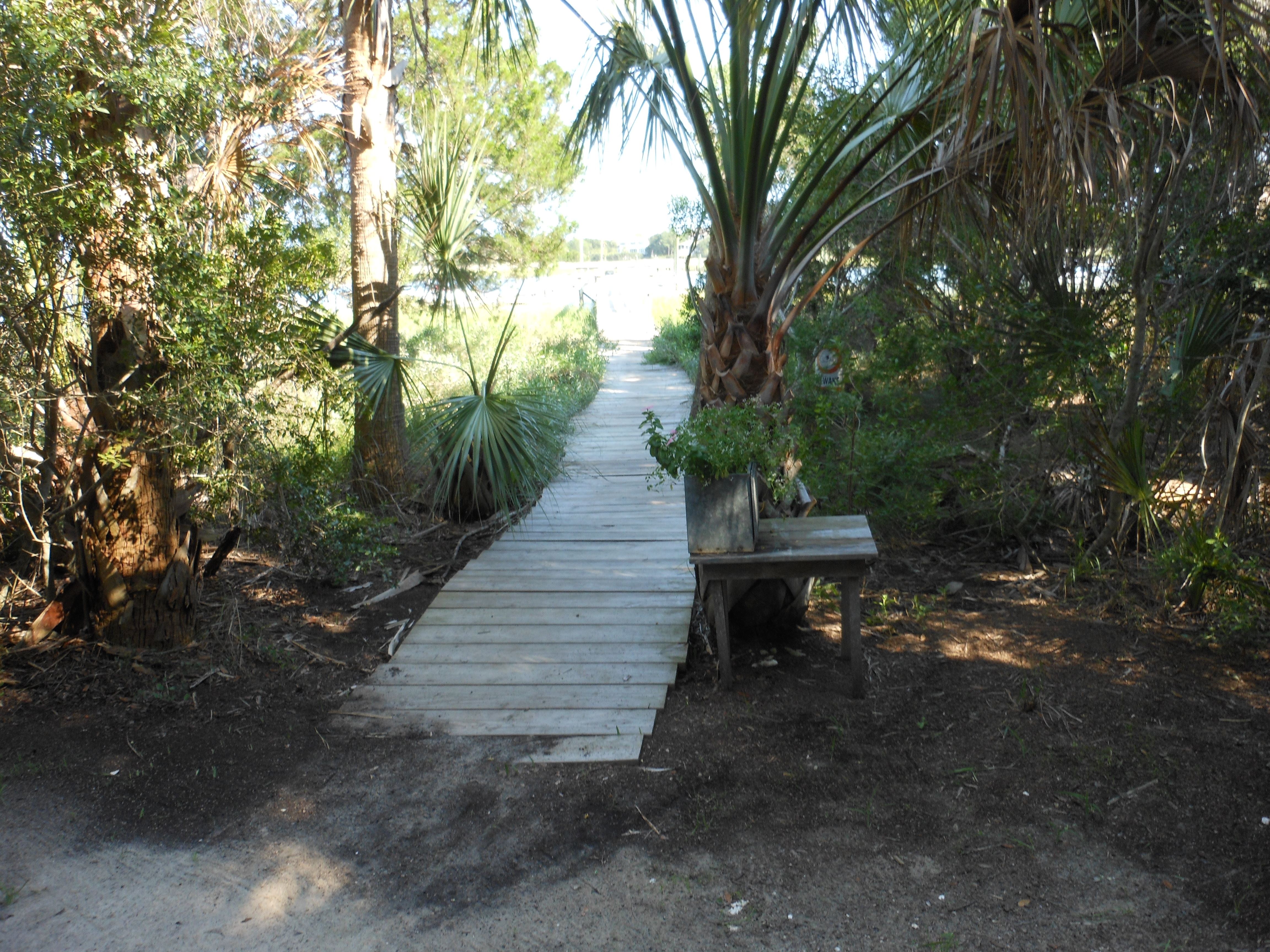 Goat Island Gatherings - 7