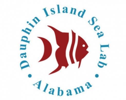 The Estuarium at Dauphin Island Sea Lab - 7