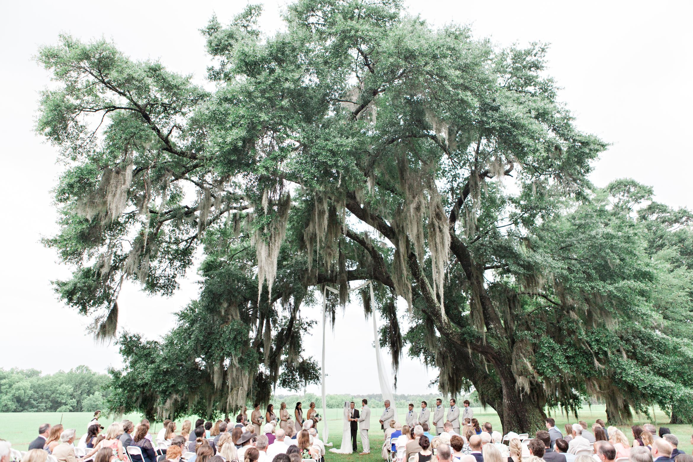 The Oaks Plantation - 2